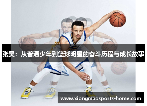 张昊：从普通少年到篮球明星的奋斗历程与成长故事